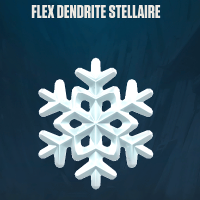 Dendrite Stellaire