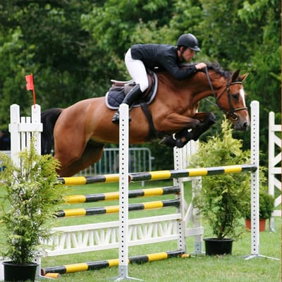 Equitazione