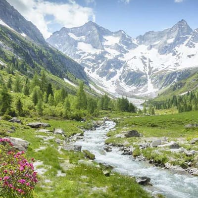 Montagna