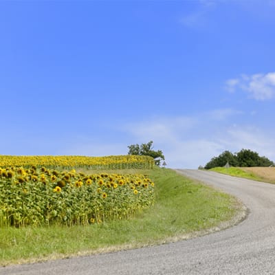 Campagna