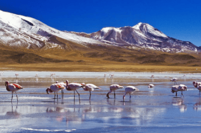 Bolivia