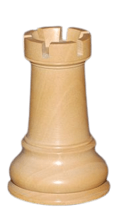 Rook