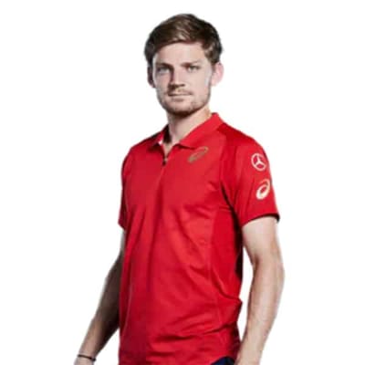 David GOFFIN