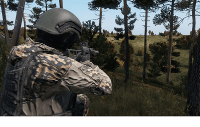 DayZ