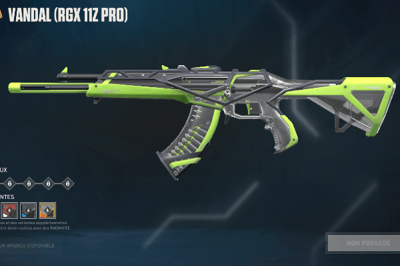 Vandal RGX