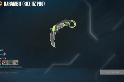 Karambit RGX