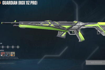 Guardian RGX