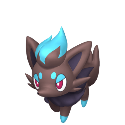 Zorua ✨