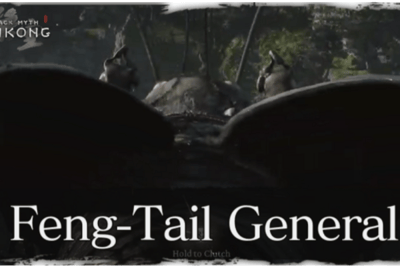 Général Queue-de-Feng