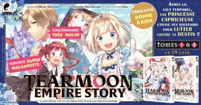 Tearmoon Empire Story