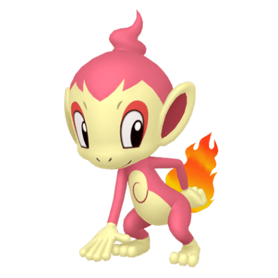 Chimchar ✨