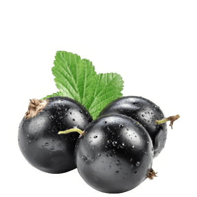 Grosella negra