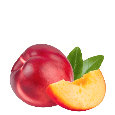 Nectarina