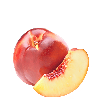 Nectarina lisa