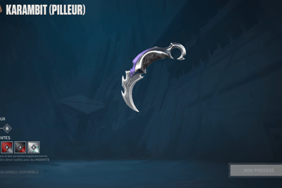 Karambit Ladrão