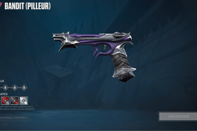 Vandal Ladrão