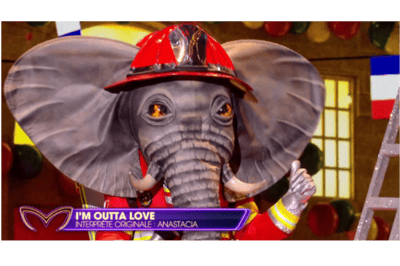 Eléphant chante I’m outta love