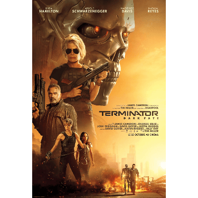O EXTERMINADOR DO FUTURO: DESTINO SOMBRIO (2019)