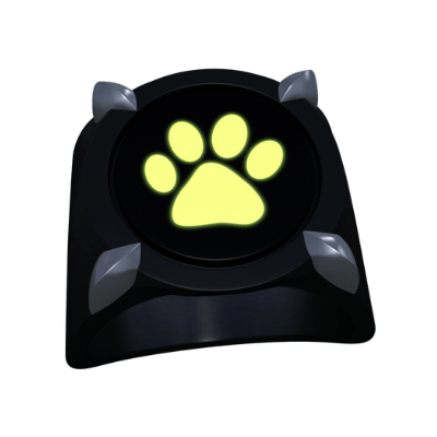 Miraculous du Chat Noir