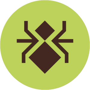 INSECTE
