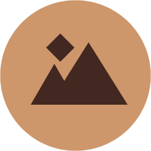 ROCHE