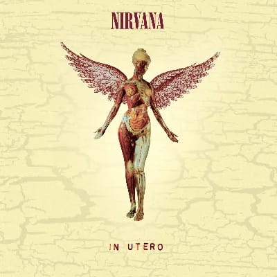 In Utero