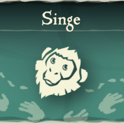 Singe