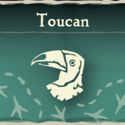 Toucan