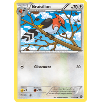 Braisillon