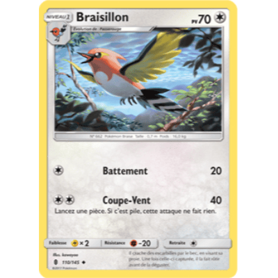 Braisillon