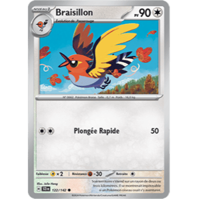 Braisillon