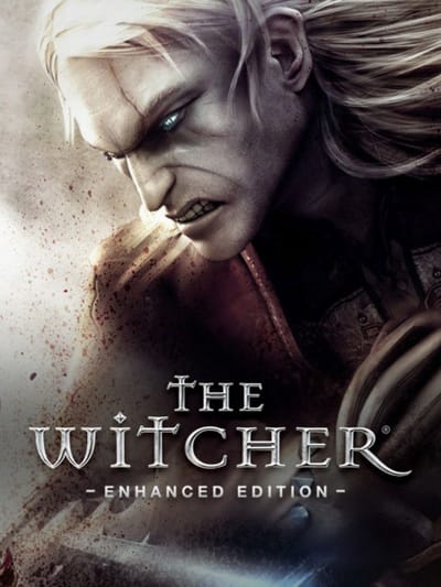The Witcher