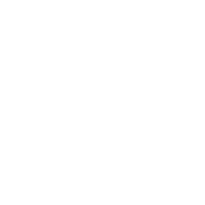 MadLions