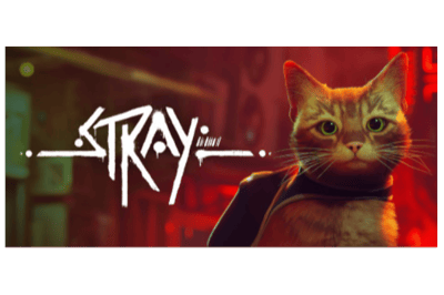 Stray