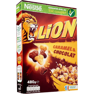 Lion 🦁