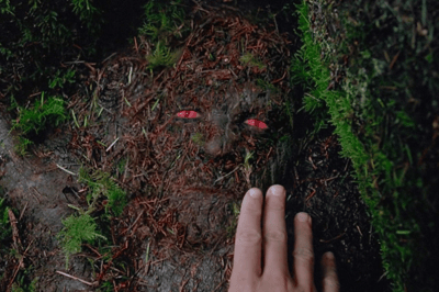 05x04 – Desvio [Detour]