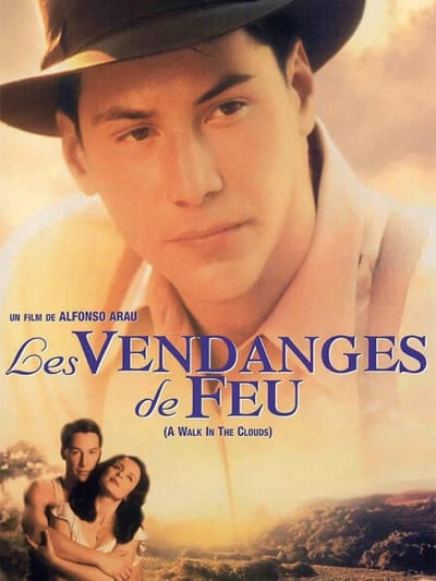 Les vendanges de feu
