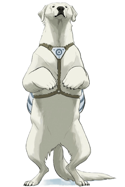 Naga