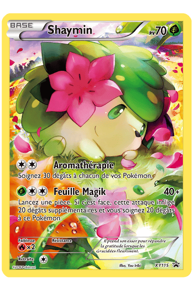 Promo XY115