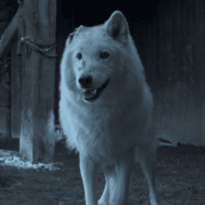 Spettro