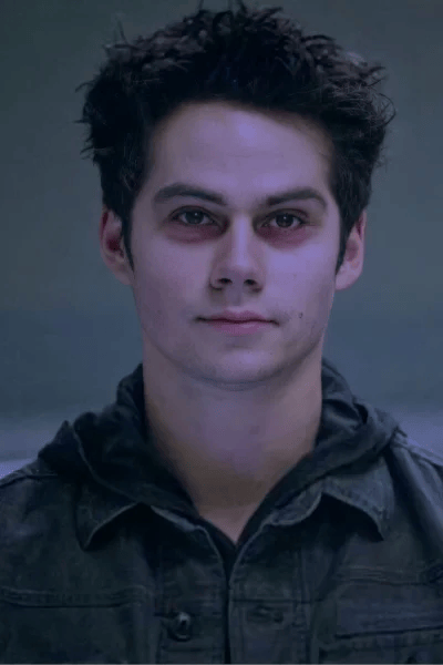 Void Stiles