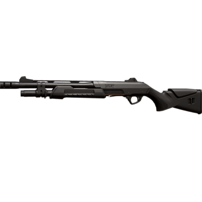 Bucky