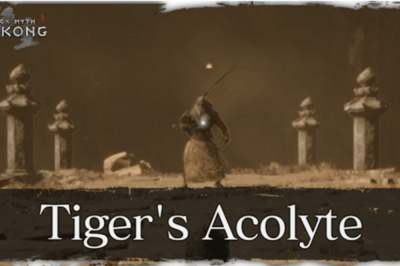 ACOLYTE DU TIGRE
