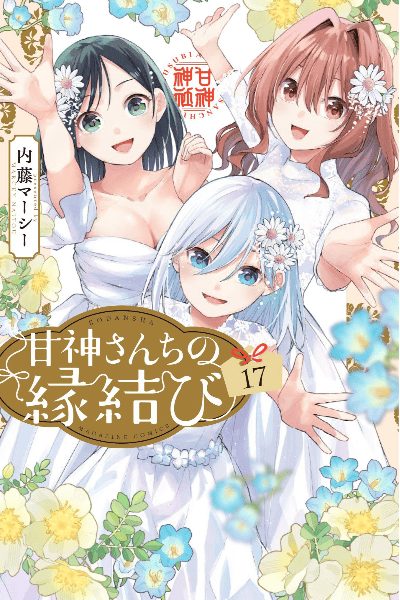 Volume 17