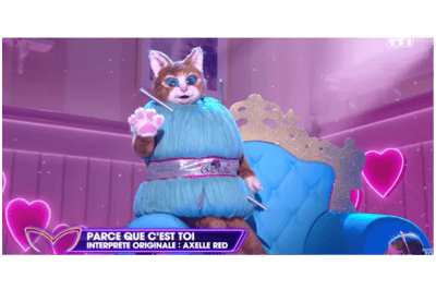 Gatinho canta Parce Que C’est Toi