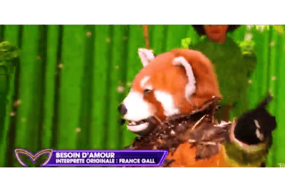 Panda Vermelho canta Besoin d’Amour
