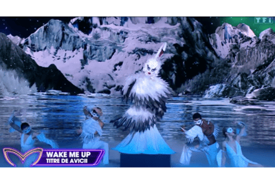 Cisne canta Wake Me Up