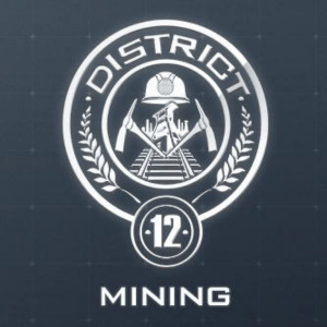 District 12