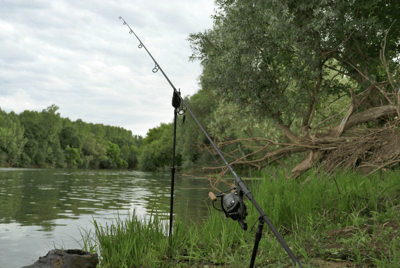 Peixe