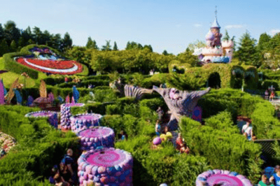 Labirinto Encantado da Alice